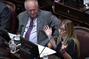 Di Tullio, la provocadora senadora que lleva a Cristina Kirchner en la piel