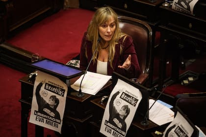 La senadora kirchnerista Juliana Di Tullio