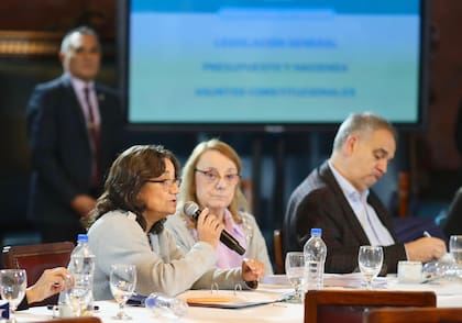 La senadora Lucia Corpacci, al lado de Alicia Kirchner, en la Comisión de Presupuesto y Hacienda del Senado