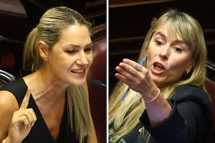 La senadora nacional Carolina Losada (UCR) junto a su par de Unión por la Patria (UxP) Juliana Di Tullio