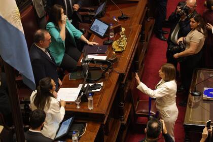 La senadora Patricia Bullrich, de LLA, será la encargada de dinamizar el tratamiento de la reforma laboral en el Senado, debido a que Villarruel está excluida de las decisiones del Gobierno