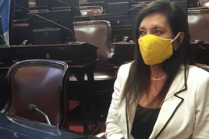 La senadora por el Pro, Laura Rodríguez Machado, utilizó un tapabocas color amarillo