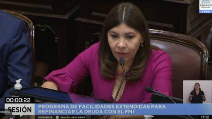 La senadora tucumana Sandra Mendoza secunda a Kueider en la comisión de Asuntos Constitucionales