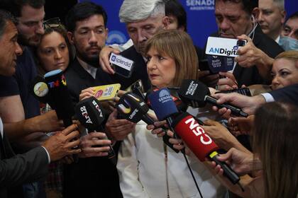 La senadora y exministra de Seguridad, Patricia Bullrich