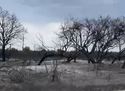 La sensación que domina es la impotencia: “La ayuda de los vecinos y de los bomberos voluntarios fue tremenda, se ponen la diez. Pero nada alcanza. La ayuda fuerte que debería venir del gobierno pampeano no existió”