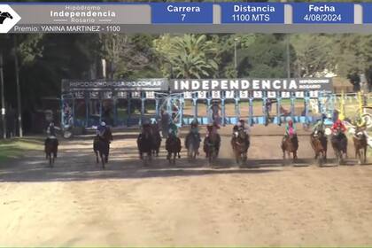 La séptima carrera de Rosario se largó y, detrás de las gateras, Engreído Cat se escapa en el sentido contrario.