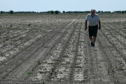 La sequía está afectando gravemente la actividad agrícola 