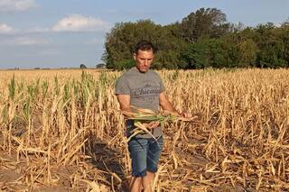 Peras con bananas en las tasas de interés