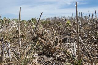 Zona técnica: la clave del éxito es el manejo