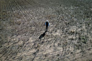 La Argentina pagará caro la inacción en materia ambiental