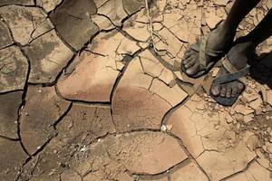 La sequía será, según un informe de la ONU, un problema mundial en este siglo con características similares a las de una pandemia