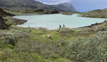 La sequía y no el frío expulsó a los vikingos de Groenlandia (Foto: Archivo)