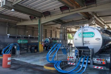 La producción de leche subirá 1,4% por año