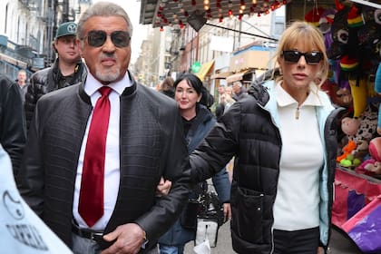 La serie cuenta la historia de Dwight "El General" Manfredi, capo de la mafia neoyorquina recientemente liberado de prisión tras 25 años, y su intento por establecerse en Tulsa, Oklahoma y montar un nuevo imperio criminal