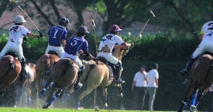 La serie presenta dos duplas de padres e hijos que compiten en el torneo. Un padre exigente con su hijo, una situación que muchos han interpretado como un reflejo de las diferencias entre Harry y el rey Carlos III