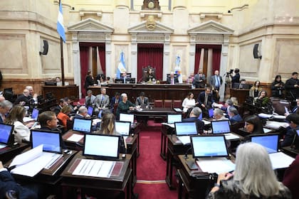 La sesión en la que se avaló la continuidad de Carlos Mahiques como camarista