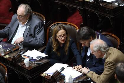 La sesión especial de la Cámara de Diputados