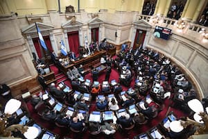 El Senado sancionó la prórroga del programa de entrega de armas
