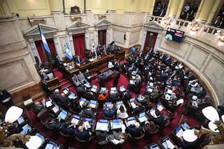 El Senado sancionó la prórroga del programa de entrega de armas