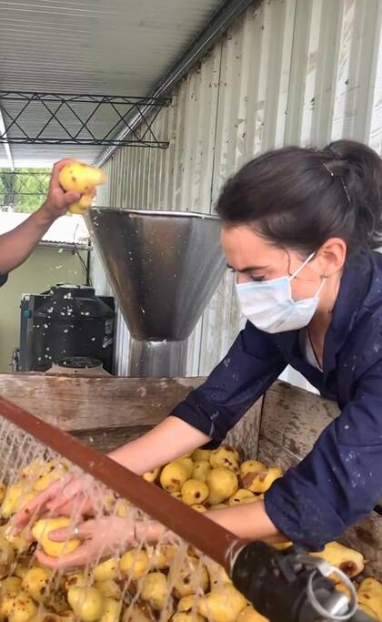 La sidra de pera es una de las variantes más exitosas de la marca y fue, inicialmente, la originalidad de este sabor lo que impulsó a los padres de Mariana a encarar el emprendimiento