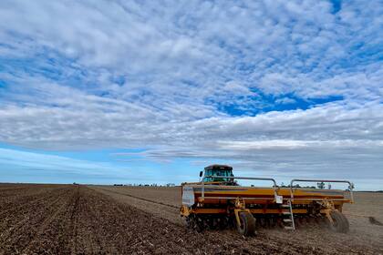 La siembra directa perdió terreno en los últimos años
