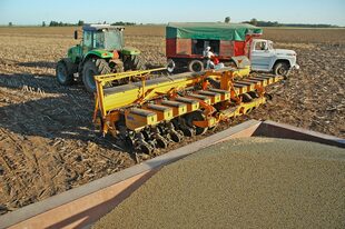 La hectárea en la zona núcleo vale US$16.000 tras haber caído a 12.500 dólares