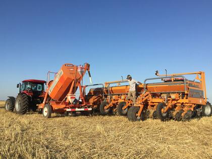 La siembra, momento de decisiones