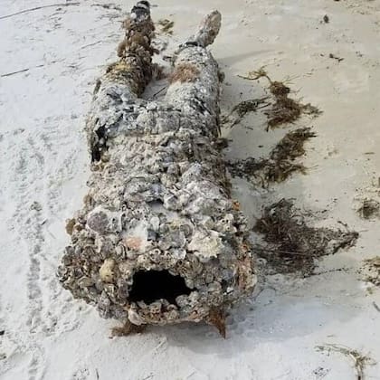 La silueta decapitada asustó tanto a los bañistas que la encontraron que hubo uno que llamó al 911