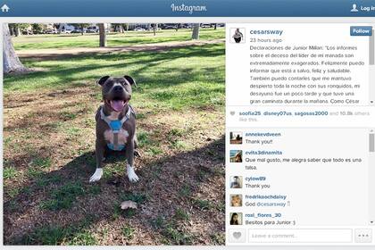 La simpática desmentida de Millán a través de uno de sus perros