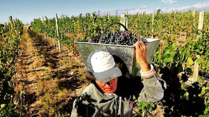 La situación afectó a los productores