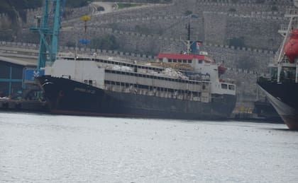 La situación del buque generó preocupación por el bienestar animal (Foto: AWF)