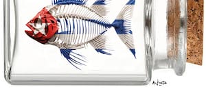 La Habana, en estado crítico