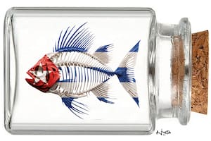 La Habana, en estado crítico