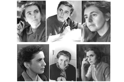 La Sociedad Matemática de San Petersburgo homenajea a quien fuera una de sus integrantes desde su fundación y luego su vicepresidenta, presidenta y miembro honorario.