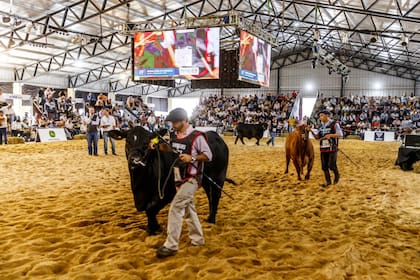 La Sociedad Rural de Corrientes será el escenario del evento ganadero