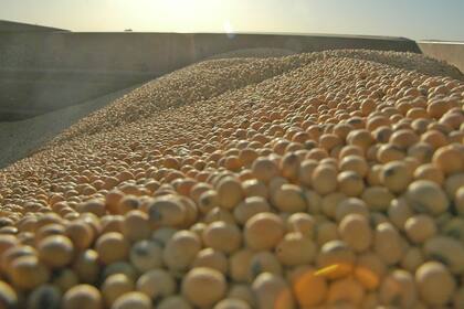 Estados Unidos está levantando una cosecha récord de soja