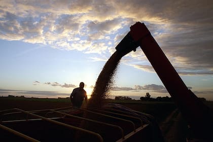 El mercado anticipa otro año sin mejoras significativas en los precios del complejo sojero
