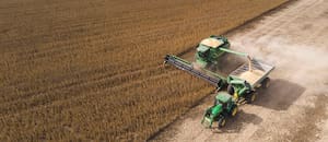 La soja en el mercado internacional inició la semana en terreno negativo