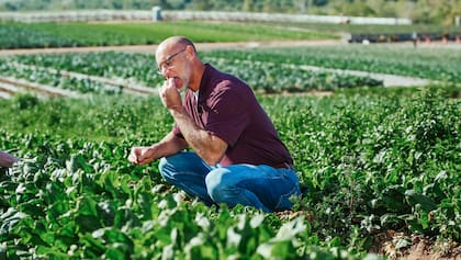 La soja es incorporada a la alimentación todas las semanas por estas comunidades (imagen ilustrativa)