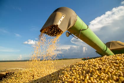 La soja pagará una tasa del 33%