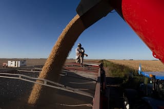 Tras tocar el precio más alto en 16 meses en Chicago, la soja sin vender de la Argentina se valorizó en hasta US$375 millones