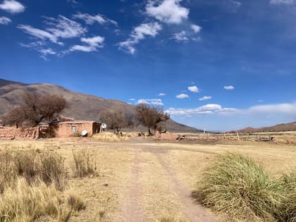 La solitaria casa de Eulogia Tapia en la inmensidad del valle . La casa es parte de la finca que arrienda junto a su marido desde hace más de 25 años.