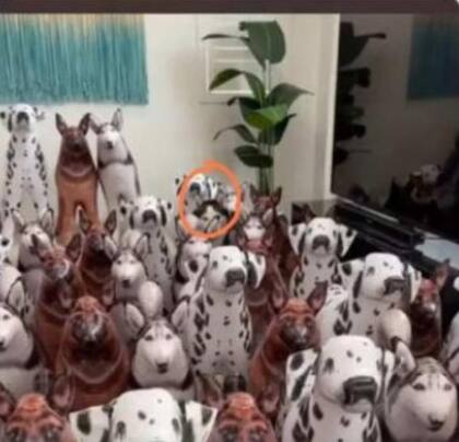 La solución al desafío.