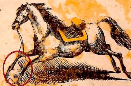 La solución al desafío.