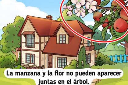 La solución al acertijo visual