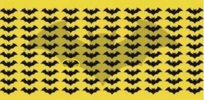 La solución al desafío viral del murciélago.