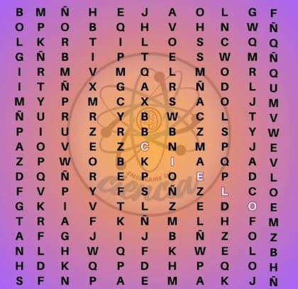 La solución al desafío visual. Fuente: Enséñame de Ciencia.