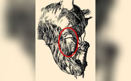 La solución al reto visual del jinete y el caballo está en el cuello del animal al dar vuelta la imagen