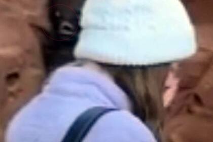 La sombra o figura detectada por usuarios con mucha agudeza visual