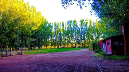 La Soñada es elñ nombre que Glenda Hansson eligió para su tambo en Rincón de los Sauces